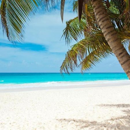 All Season Paradise In Cortez Bradenton Eksteriør billede